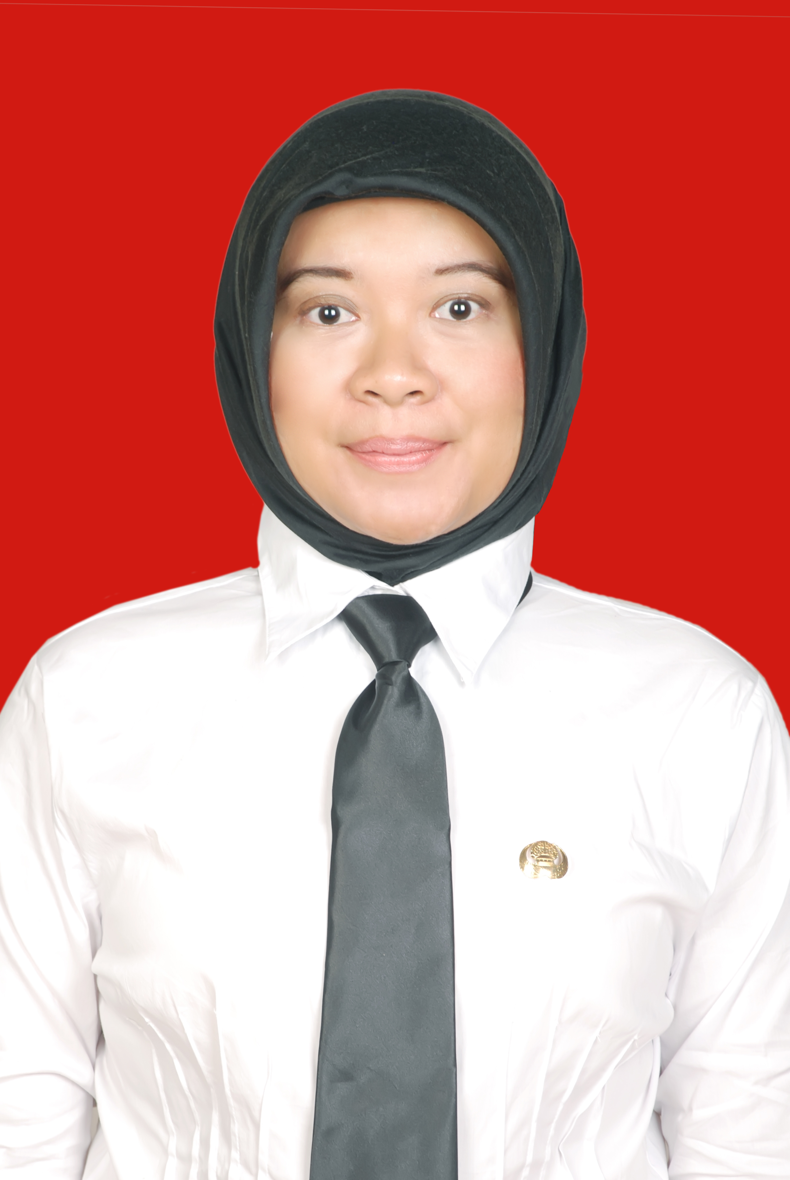 https://jk.pakki.org/storage/anggota/bageur-240305092741.jpeg